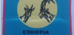 Banner Addis Ababa